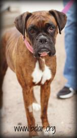 6c5c86e6-79a7-40fa-b010-e07ea62a550b