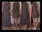 BrownShirtdress