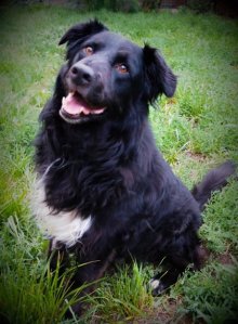 ??????????????????????