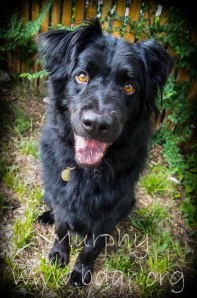 ??????????????????????