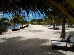 ???????????????????????????????