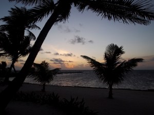 ???????????????????????????????