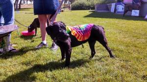 1119982_10151569459278317_379525818_o