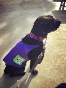 46468_10201493551401546_1695865519_n