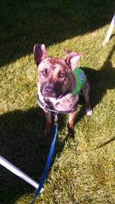 602518_10151569459273317_116100777_n