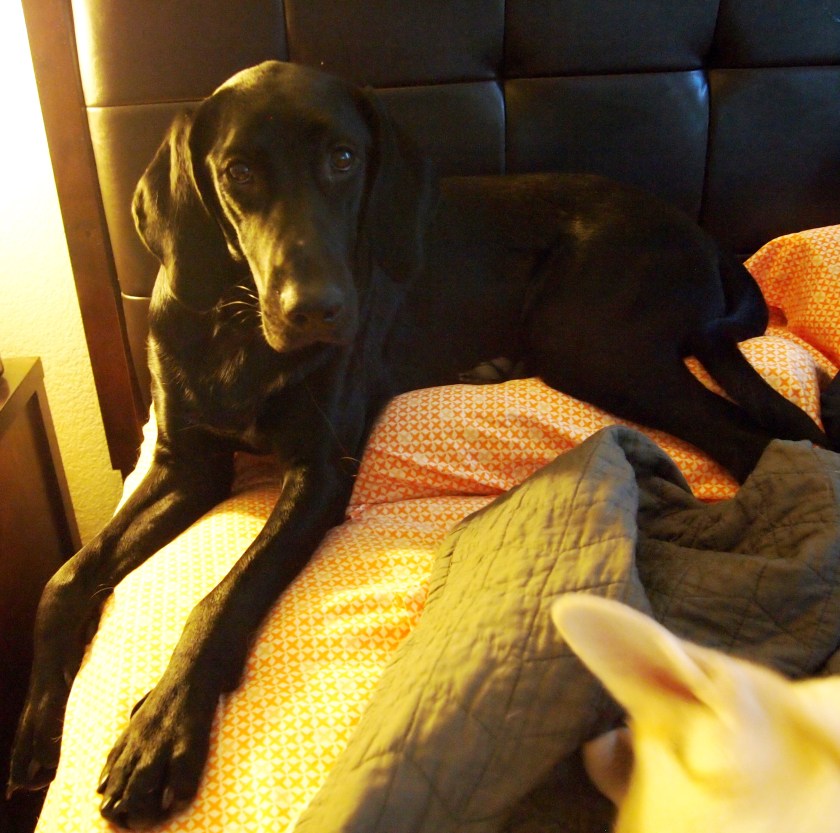 ???????????????????????????????