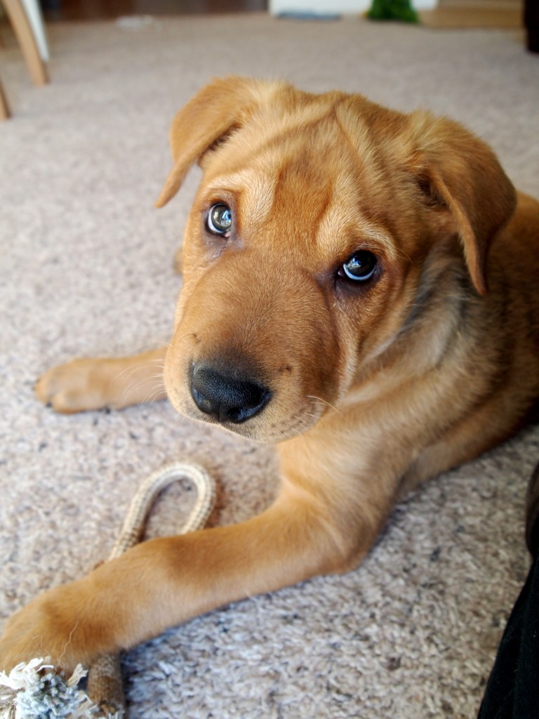 ???????????????????????????????