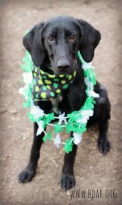 295589_10101492353353744_845445141_n