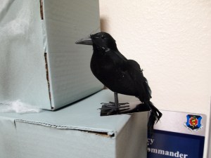 ???????????????????????????????