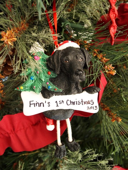 ??????????????????????