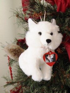 ??????????????????????