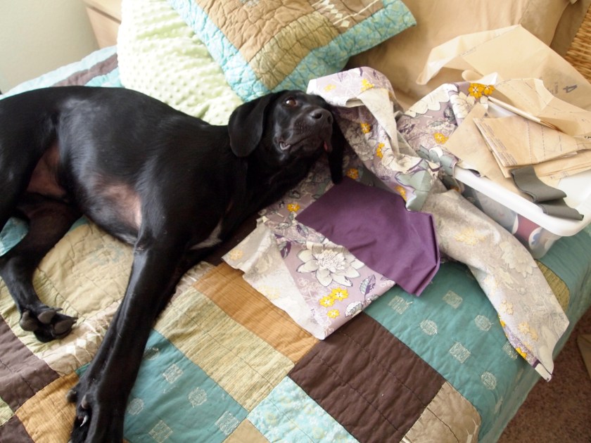 ???????????????????????????????