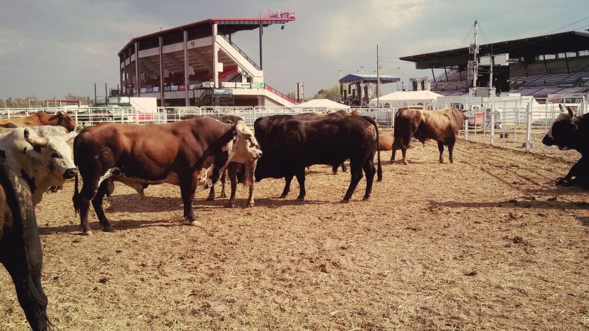 img_20140720_171114_9902