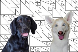 Fabric Pattern | Life by Ky Blog