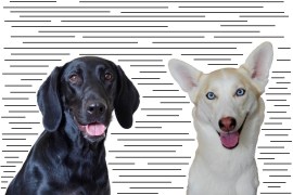 Fabric Pattern | Life by Ky Blog