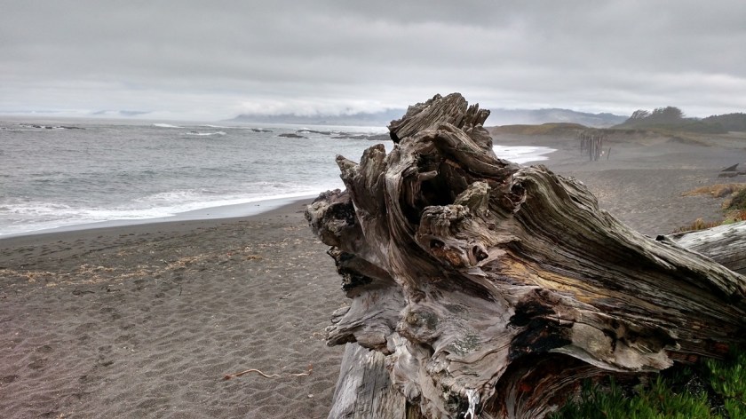 IMG_20150321_104512468_HDR