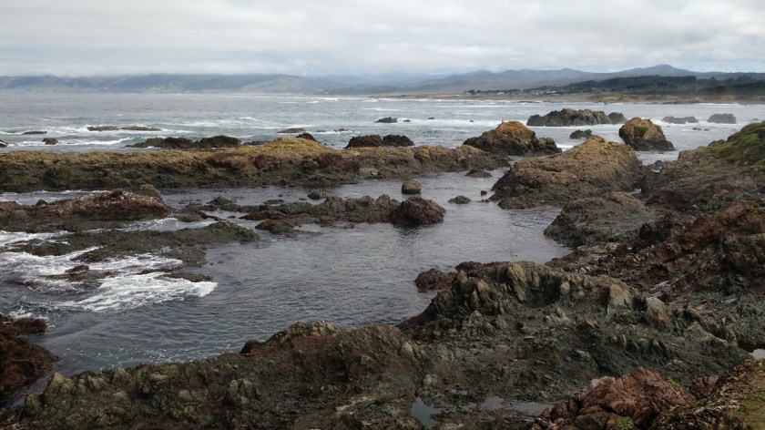 IMG_20150321_114013361