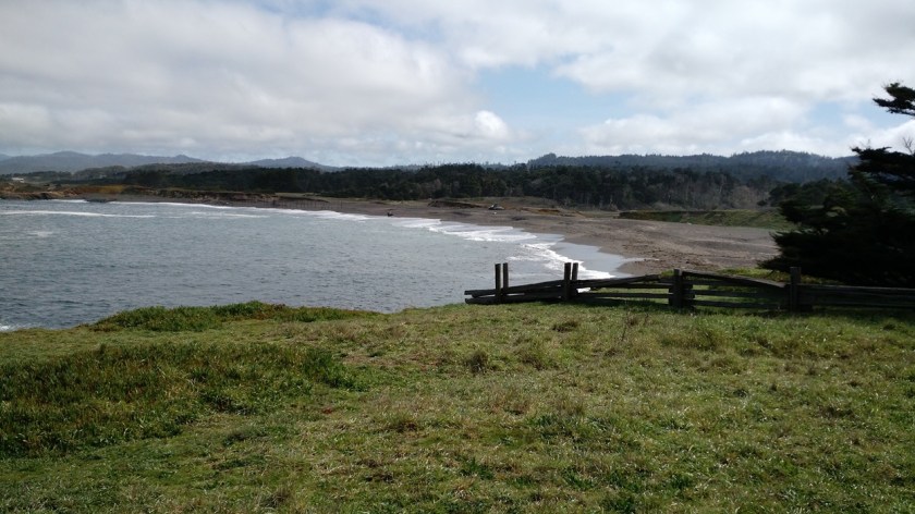 IMG_20150321_114829918