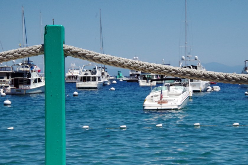 Catalina Island | Life by Ky Blog