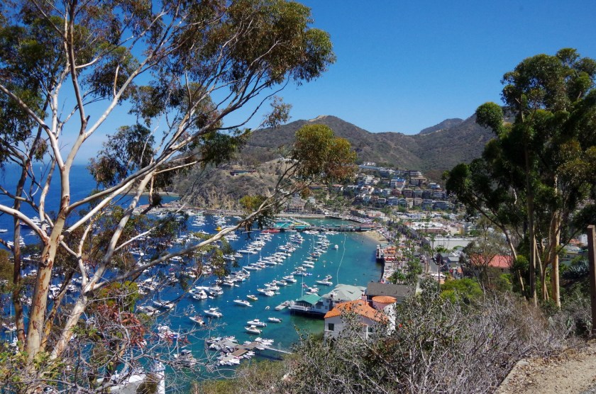 Catalina Island | Life by Ky Blog