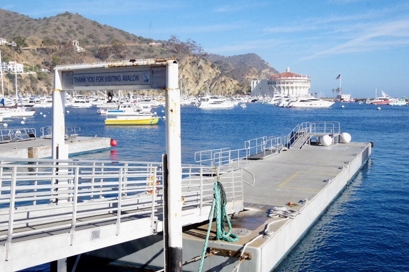 Catalina Island | Life by Ky Blog