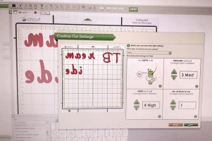 IMG_20160615_074257965_HDR (1)