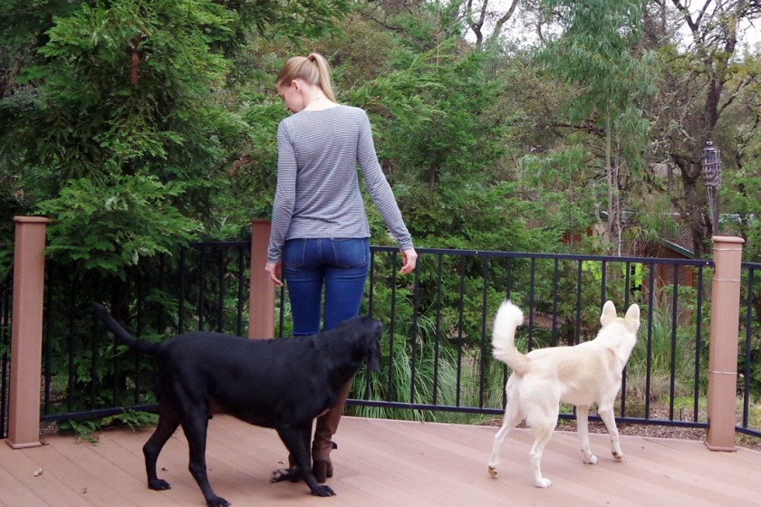 Panama Tee Dress Pattern, View A | Life by Ky Blog