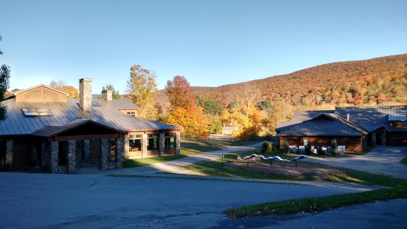 Camp Workroom Social