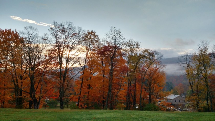 Camp Workroom Social