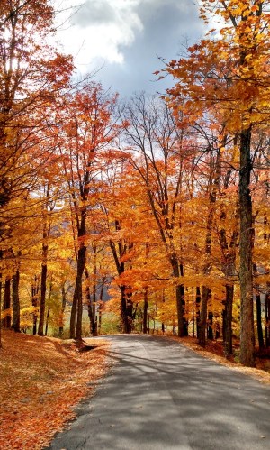 Camp Workroom Social