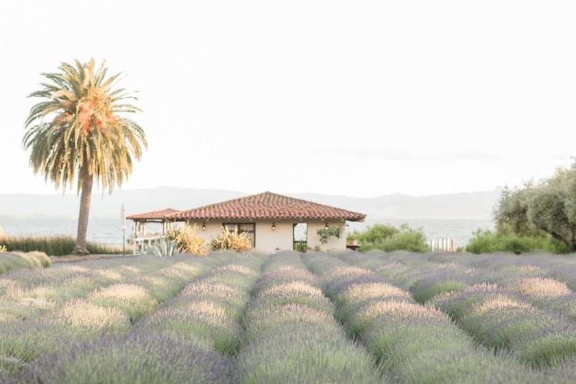 Wedding Details | Life by Ky Blog