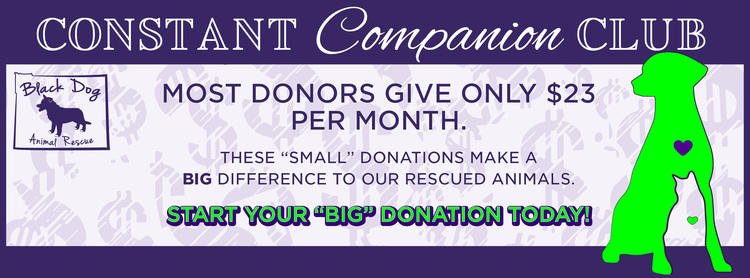 BDAR Constant Companion Club